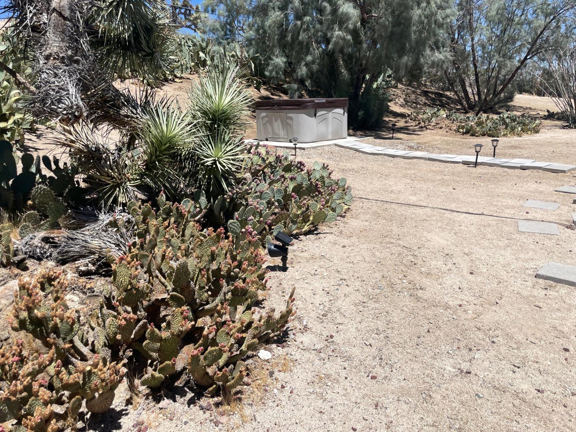 Mojave Desert Pied-A-Terre Yucca Valley Extérieur photo